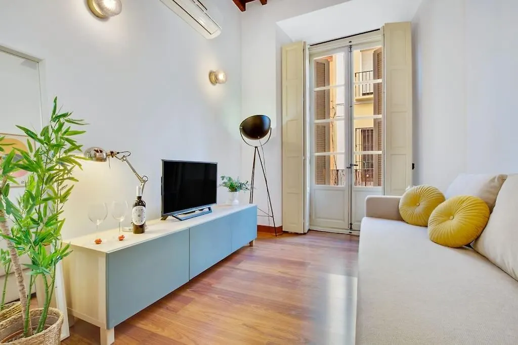 Apartment Ayma Apartamento Ollerias Malaga